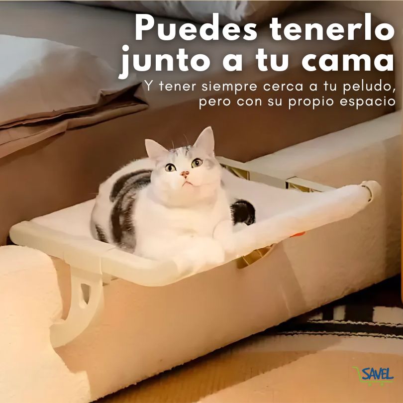 PetNest®: El espacio perfecto para tu mascota, sin ocupar el tuyo.