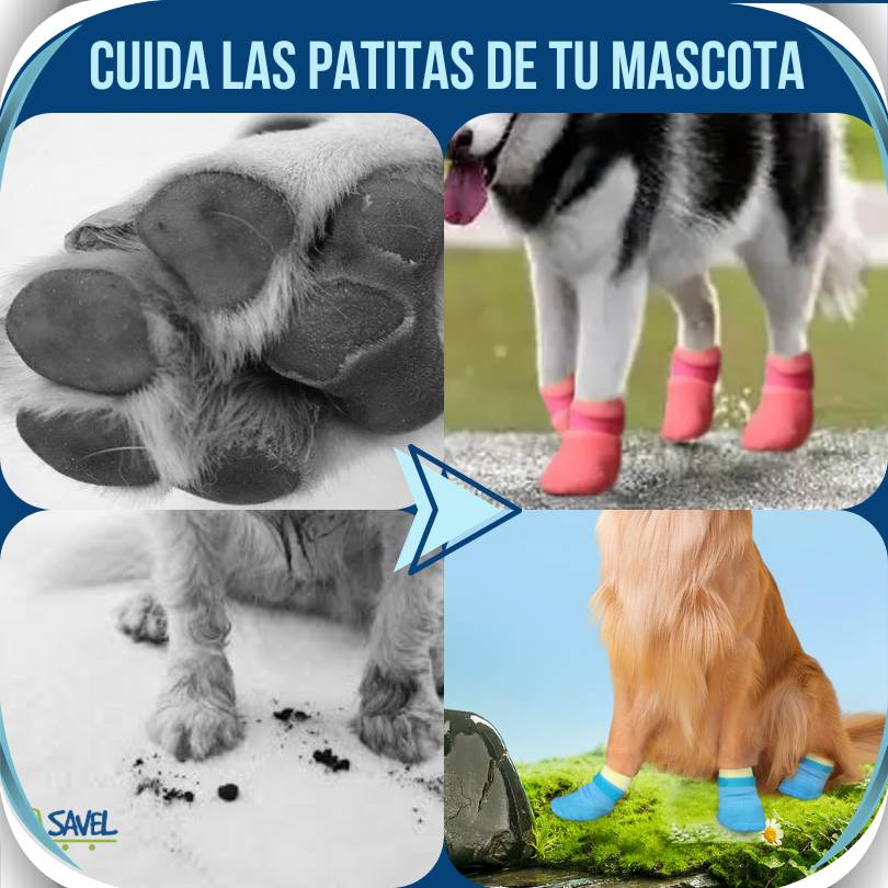 PawShield®: Protección total para sus patitas.