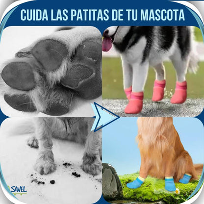 PawShield®: Protección total para sus patitas.