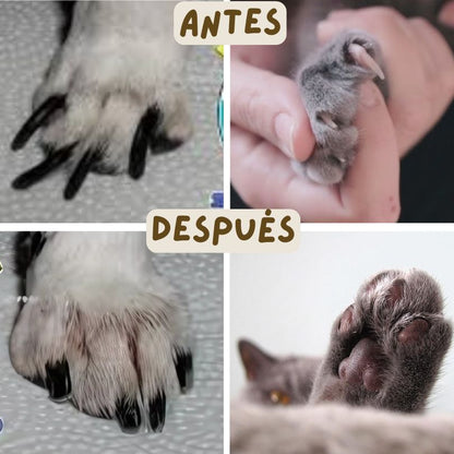 Pet NailCare®: Cuida las uñas de tu peludito