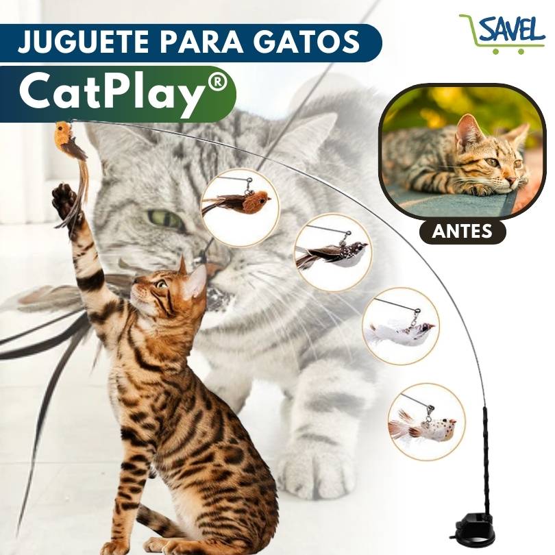 CatPlay®: Haz que tu gato esté entretenido incluso cuando no estás en casa