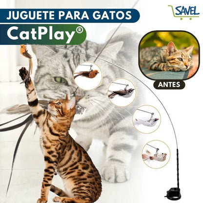 CatPlay®: Haz que tu gato esté entretenido incluso cuando no estás en casa