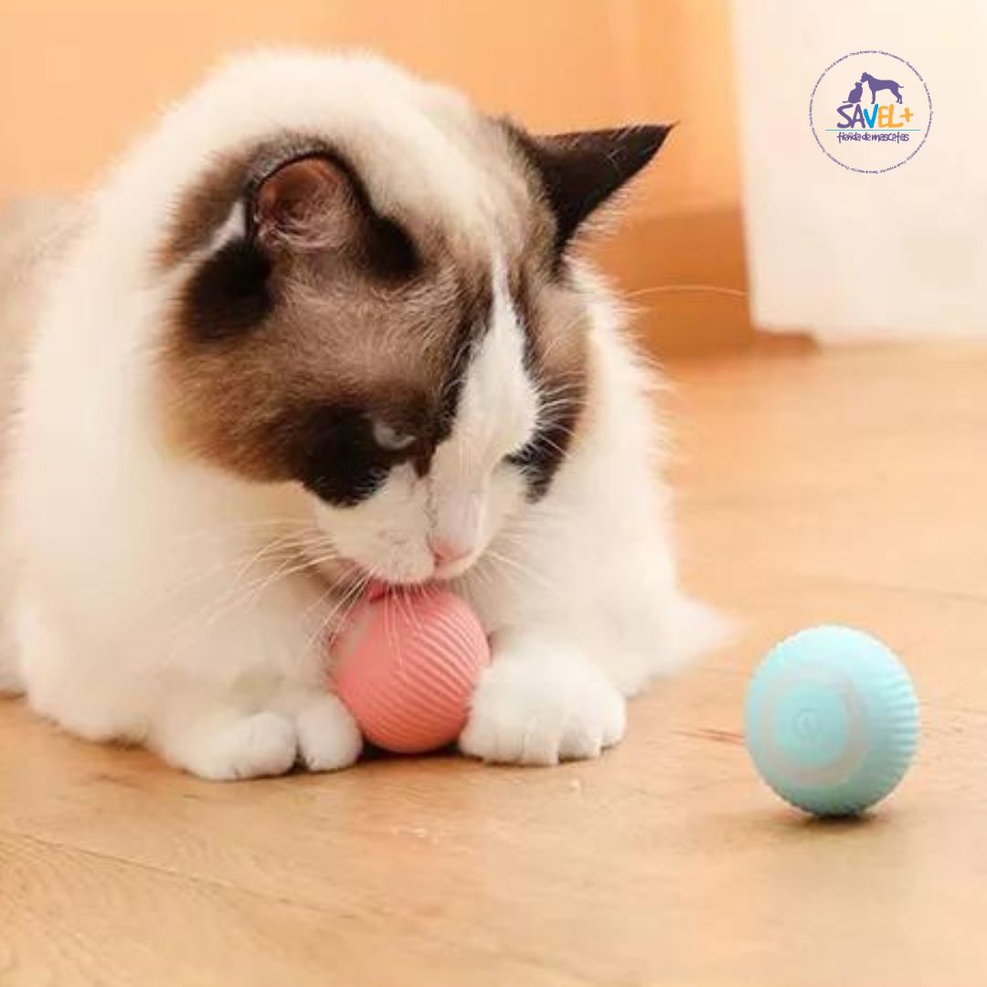 Pelota Mágica