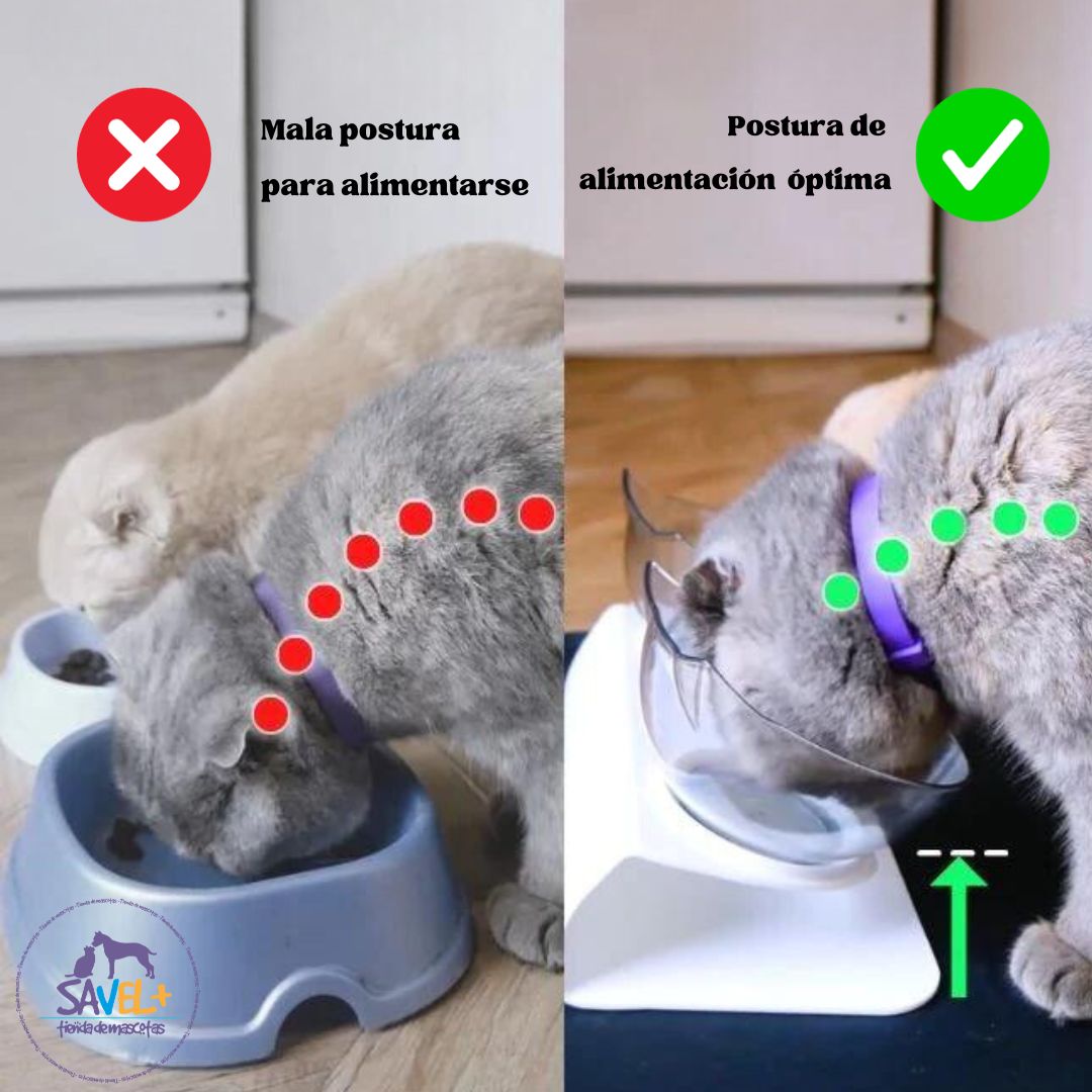 Doble Comedero Ortopédico Anti-Reflujo