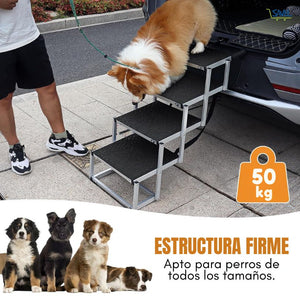 PupStep®: Ayuda a tu peludo a subir con seguridad