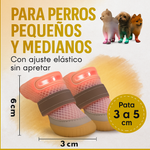 PawGlow®:  Tu perro se verá sin importar la hora ni el lugar