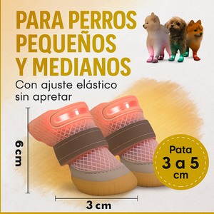 PawGlow®:  Tu perro se verá sin importar la hora ni el lugar