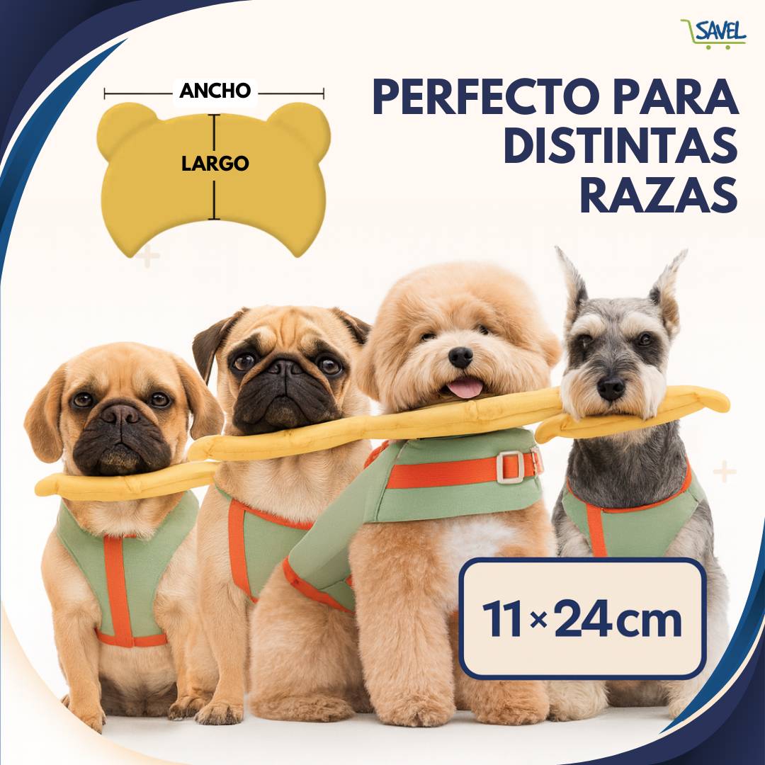 Water Paws®: Tu peludo estará seguro en el agua (talla ajustable)