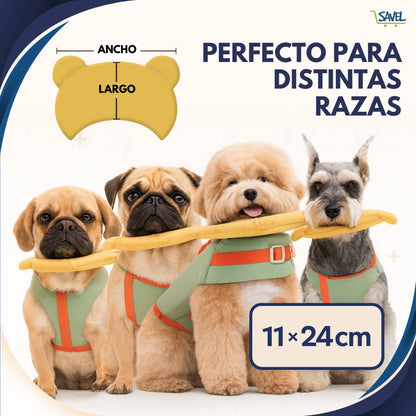Water Paws®: Tu peludo estará seguro en el agua (talla ajustable)