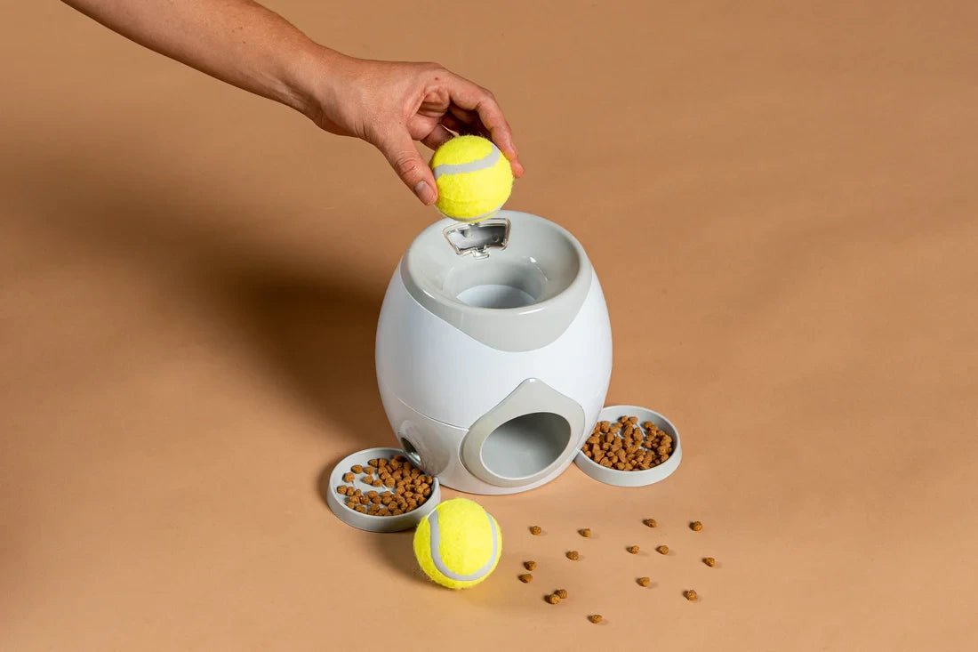 Lanzador de Pelotas Automatico de Pelotas